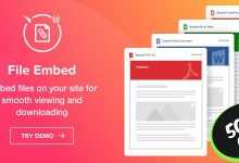 Photo of [Download-S1] File Viewer v1.0.0 - WordPress File Embed plugin