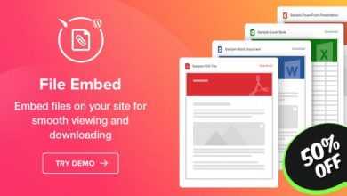 Photo of [Download-S1] File Viewer v1.0.0 - WordPress File Embed plugin