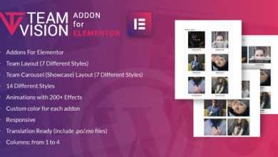 Photo of [Download-S1] Teamvision for Elementor v1.0 - WordPress Plugin