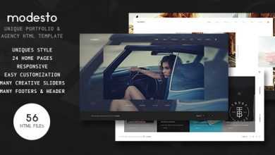 Photo of [Download-S2] Modesto v3.0 - Power Unique Portfolio, Photography & Agency HTML Template