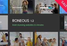 Photo of [Download-S2] Roneous v1.2 - Creative Multi-Purpose WordPress Theme