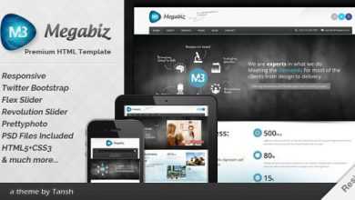 Photo of [Download-S2] Megabiz - Themeforest Responsive HTML/CSS Template