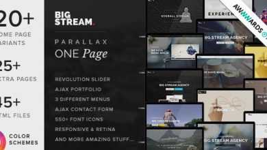 Photo of [Download-S2] BigStream v1.5.8 - One Page Multi-Purpose Template