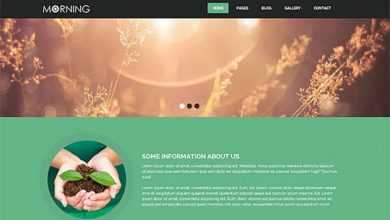 Photo of [Download-S2] Morning – Creativemarket agriculture Theme