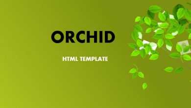 Photo of [Download-S2] Orchid - HTML Template