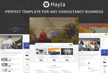 Photo of [Download-S2] Hayla v1.1 - Consultancy Business Website Template