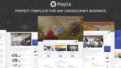 Photo of [Download-S2] Hayla v1.1 - Consultancy Business Website Template