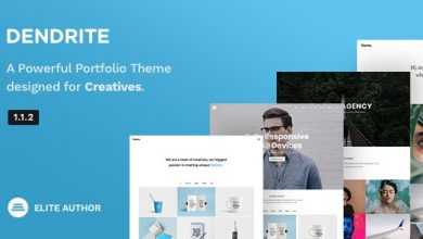 Photo of [Download-S2] Dendrite v1.1.2 - Creative Portfolio Theme