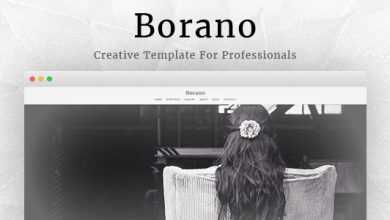 Photo of [Download-S2] Borano v4.6 - Photography / Portfolio WordPress Theme