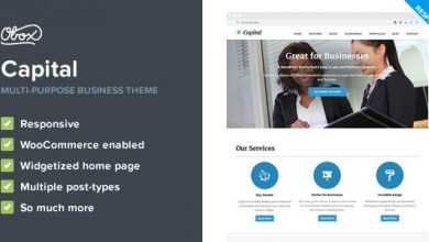 Photo of [Download-S2] Capital - Multi-Purpose Business WordPress Theme