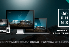 Photo of [Download-S2] Phoenix v1.5 - WordPress Minimal Multipurpose Portfolio