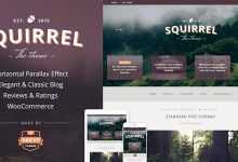 Photo of [Download-S2] Squirrel - A Responsive WordPress Blog Theme