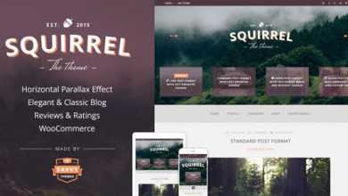 Photo of [Download-S2] Squirrel - A Responsive WordPress Blog Theme
