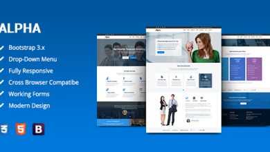Photo of [Download-S2] Alpha - Business Consulting and Financial Services HTML Template
