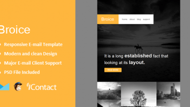 Photo of [Download-S2] Broice - Responsive E-mail Template + Themebuilder Access