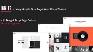 Photo of [Download-S2] IGNITE - Simple One Page Creative WordPress Theme