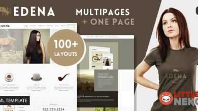 Photo of [Download-S2] EDENA - Creative & Multipurpose Bootstrap Template
