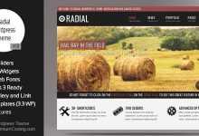 Photo of [Download-S2] Radial - Themeforest Creative Blog & Portfolio WP Theme