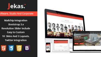Photo of [Download-S2] Jekas - Software & Business WordPress Theme