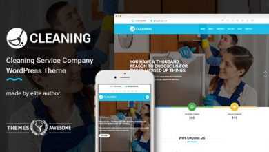 Photo of [Download-S2] Cleaning Service Company v1.4 - WordPress Theme
