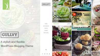 Photo of [Download-S2] A stylish & flexible WordPress Blog Theme