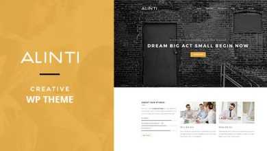 Photo of [Download-S2] Alinti v1.1 - Minimal Creative WordPress Portfolio