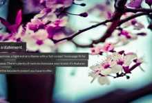 Photo of [Download-S2] Maximize - Woothemes Wordpress Theme