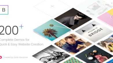 Photo of [Download-S2] Bridge v10.0 - Creative Multi-Purpose WordPress Theme