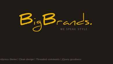 Photo of [Download-S2] Bigbrands v2.0 - Themeforest Premium Theme