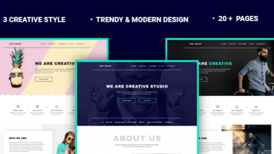 Photo of [Download-S2] The Crazy v1.1.1 - Creative Agency WP Template