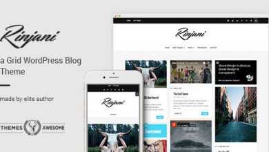 Photo of [Download-S2] Rinjani v1.6 - A Responsive Grid Blog Theme