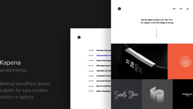 Photo of [Download-S2] Kapena v1.1 - Minimal Portfolio WordPress Theme