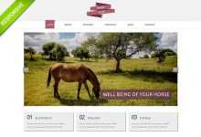 Photo of [Download-S2] Horse Club - Flashmint Responsive Bootstrap Template