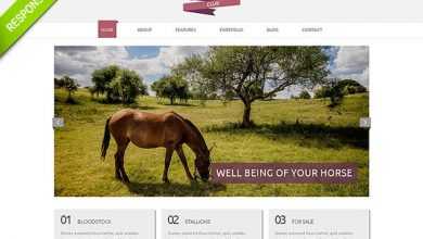 Photo of [Download-S2] Horse Club - Flashmint Responsive Bootstrap Template