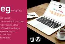 Photo of [Download-S2] Eleg - Multicolor One Page WordPress Theme