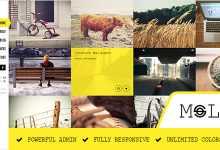 Photo of [Download-S2] Moler v1.2 - Full Screen WordPress Portfolio