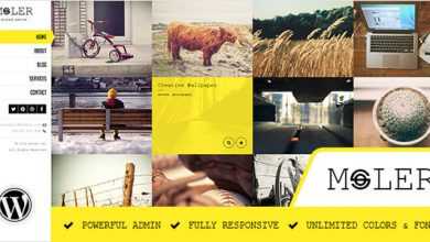Photo of [Download-S2] Moler v1.2 - Full Screen WordPress Portfolio
