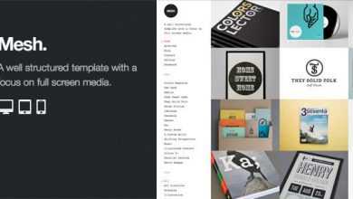 Photo of [Download-S2] Mesh - Professional WordPress Portfolio Theme