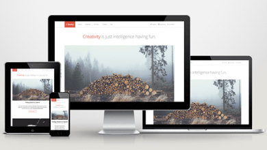 Photo of [Download-S2] Develop - Responsive WordPress HTML5/CSS3 Theme