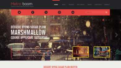 Photo of [Download-S2] Metroboom Premium Responsive theme