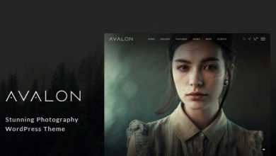 Photo of [Download-S2] Avalon v1.0.9.9 - Photography and Portfolio WordPress Theme for Photographers