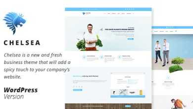 Photo of [Download-S2] Chelsea - Multi-Purpose Business WordPress Theme