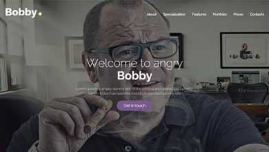 Photo of [Download-S2] Bobby - Creative Service HTML Landing Page