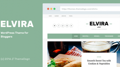 Photo of [Download-S2] Elvira v1.3 - WordPress Theme for Bloggers