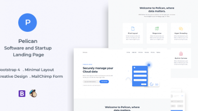 Photo of [Download-S2] Pelican v1.0 - Startup and Software Landing Page