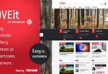 Photo of [Download-S2] Awesome Wordpress Magazine/blog Theme - LOVEit