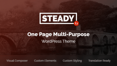 Photo of [Download-S2] Steady v1.1 - One Page Multi-Purpose WordPress Theme