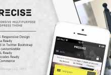 Photo of [Download-S2] Precise - Multipurpose Responsive WordPress Theme