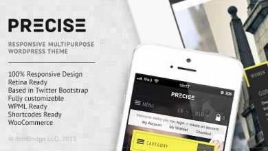 Photo of [Download-S2] Precise - Multipurpose Responsive WordPress Theme