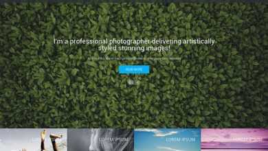 Photo of [Download-S2] Nancy Carter - Creativemarket One Page Theme